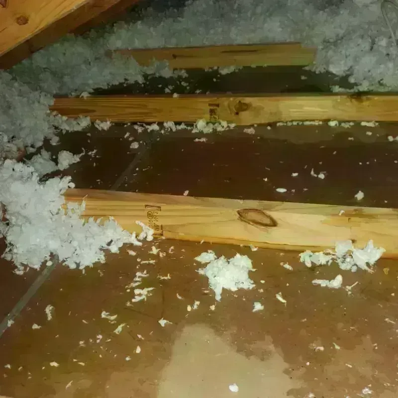 Attic Water Damage in Wimberley, TX